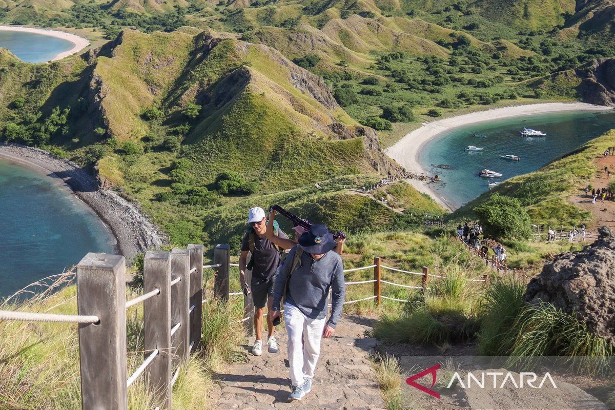 Upaya Kementerian Pariwisata Jaga Kelestarian Komodo Secara Berkelanjutan