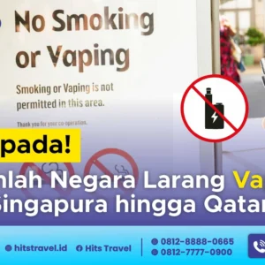 Usulan Larangan Total Vape: Lebih dari Sekadar Omongan