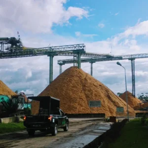 Walhi Gugat Toba Pulp Lestari Rp 2,6 Triliun: Intervensi Kasus Bencana Ekologis Tapanuli Mengguncang Medan