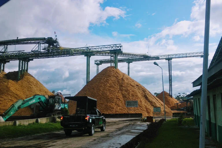 Walhi Gugat Toba Pulp Lestari Rp 2,6 Triliun: Intervensi Kasus Bencana Ekologis Tapanuli Mengguncang Medan