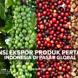 Wamendag: Potensi Ekspor Indonesia Sangat Besar, Peluang untuk Diversifikasi Produk