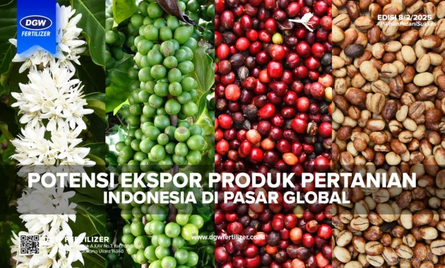 Wamendag: Potensi Ekspor Indonesia Sangat Besar, Peluang untuk Diversifikasi Produk Wamendag: Potensi Ekspor Indonesia Sangat Besar, Peluang untuk Diversifikasi Produk