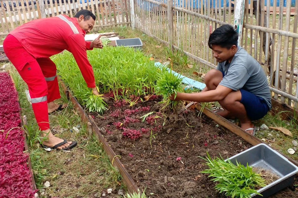 Warga Pulau Kelapa Didorong Bangun Ketahanan Pangan lewat Urban Farming