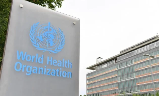 WHO: Penumpang Kapal Pesiar Terdampak Hantavirus Berisiko Tinggi