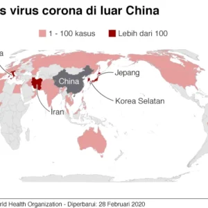 WHO: Wabah Hantavirus Bukan Awal Pandemi Covid-19 Berikutnya