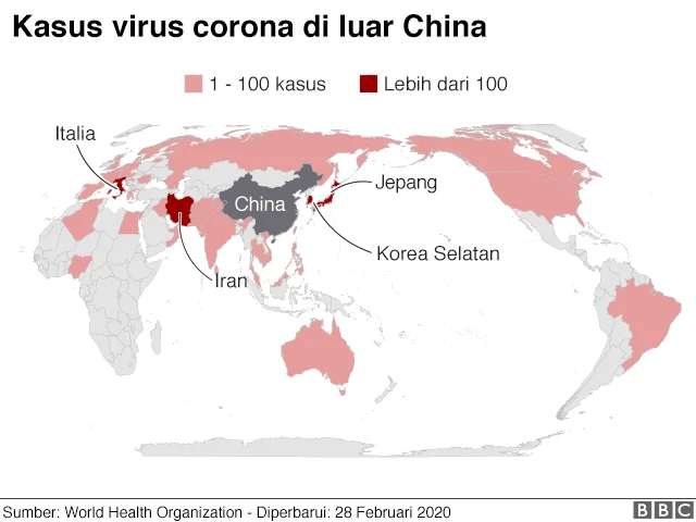 WHO: Wabah Hantavirus Bukan Awal Pandemi Covid-19 Berikutnya