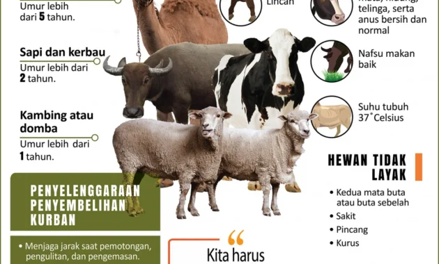 Yuk, Kenali Syarat Hewan Kurban Sebelum Iduladha Tiba