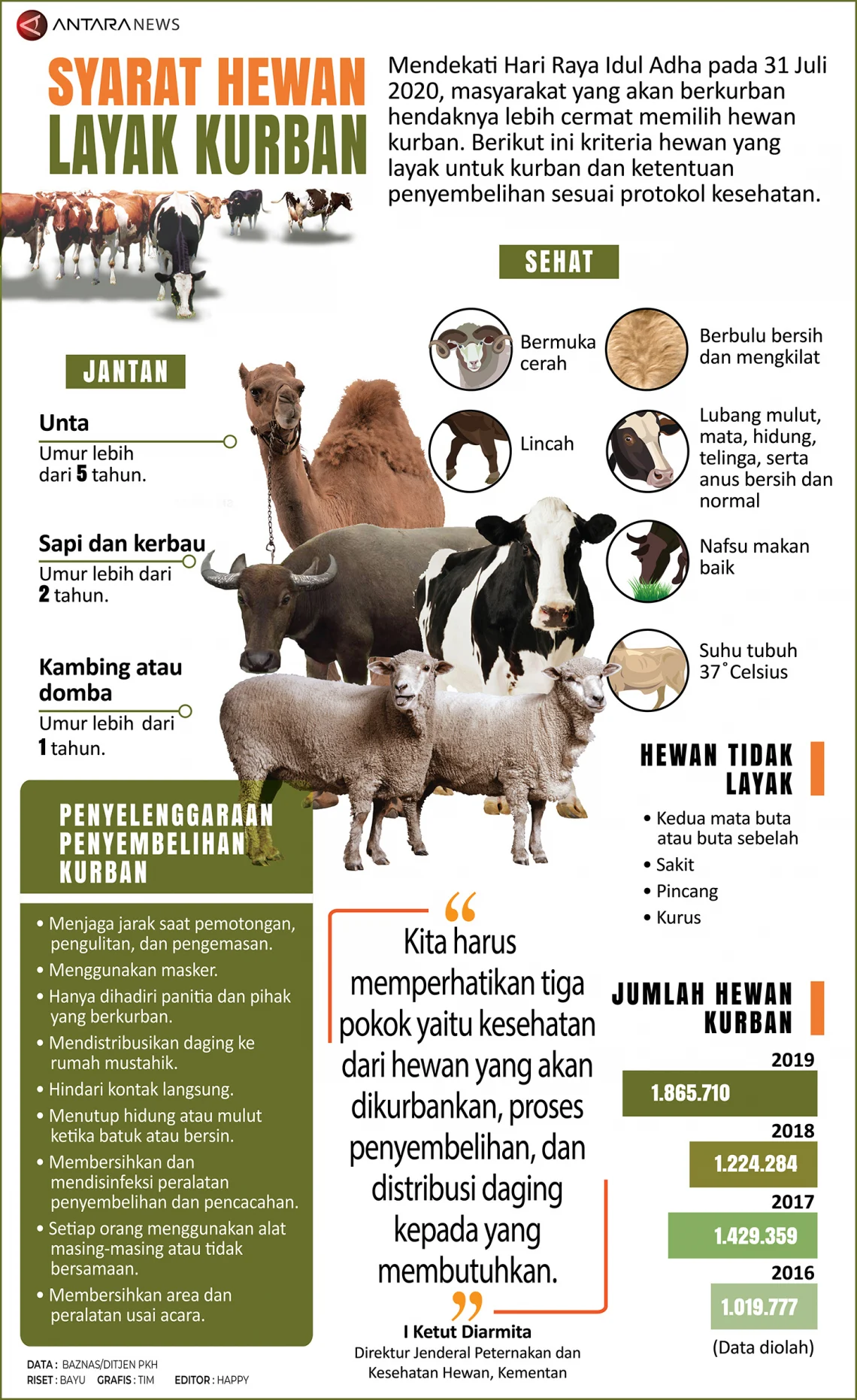 Yuk, Kenali Syarat Hewan Kurban Sebelum Iduladha Tiba
