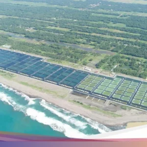 400 pekerja dikerahkan bangun tambak udang modern Sumba Timur