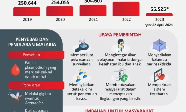 518 Kasus Malaria di Tanjungpinang Ditangani Sepanjang Awal 2026