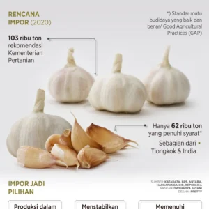 90 Persen Bawang Putih Masih Impor, Pemerintah Mulai Susun Jalan Keluar