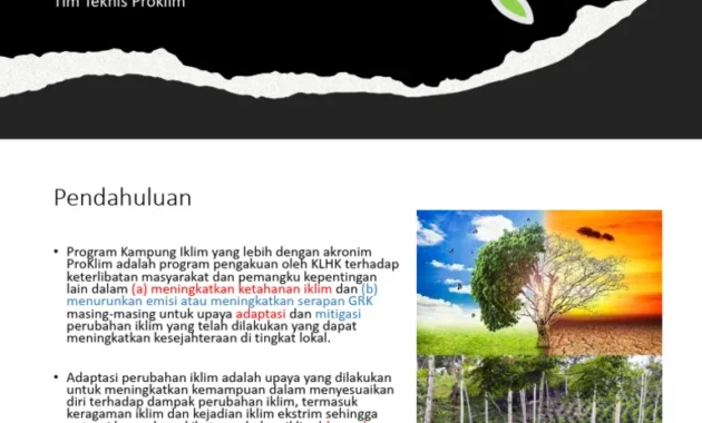 Akademisi: Perubahan Iklim Tantangan Multidimensi Ketahanan Pangan