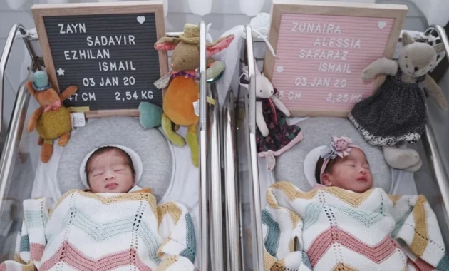Antusias Dunia Menyambut Bayi Bekantan Kembar Antusias Dunia Menyambut Bayi Bekantan Kembar