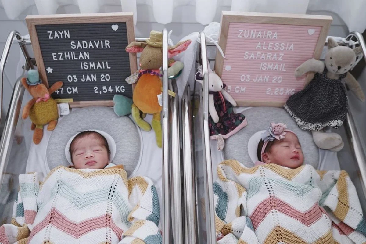 Antusias Dunia Menyambut Bayi Bekantan Kembar