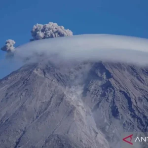 BB TNBTS Amankan Empat Pendaki Ilegal Gunung Semeru