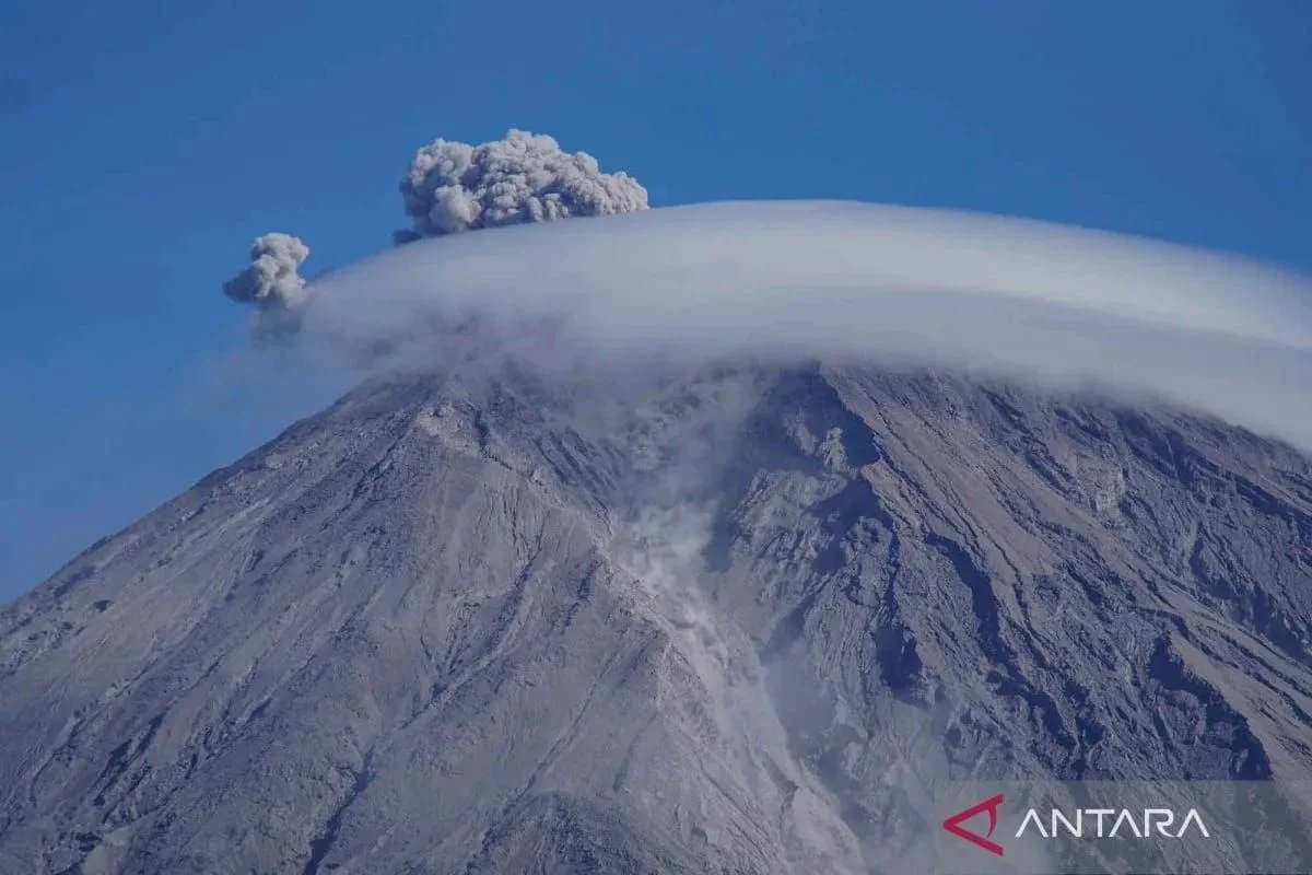 BB TNBTS Amankan Empat Pendaki Ilegal Gunung Semeru