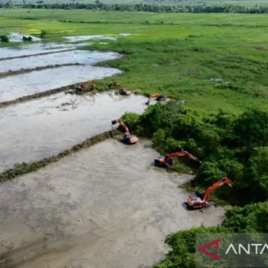BBRMP Maluku Lakukan Monitoring Program Cetak Sawah Rakyat di Enam Desa Seram Bagian Timur