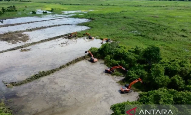 BBRMP Maluku Lakukan Monitoring Program Cetak Sawah Rakyat di Enam Desa Seram Bagian Timur