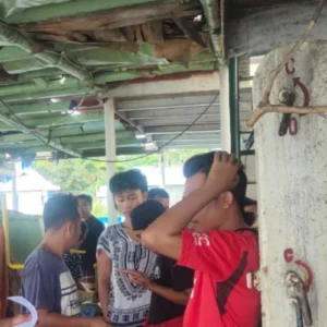 BKSDA Maluku Gagalkan Dugaan Perdagangan Satwa Dilindungi di Ambon
