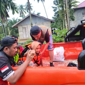 BPBD Aceh Barat Evakuasi Sarang Tawon di Meulaboh, Warga Resah