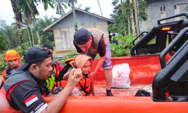 BPBD Aceh Barat Evakuasi Sarang Tawon di Meulaboh, Warga Resah