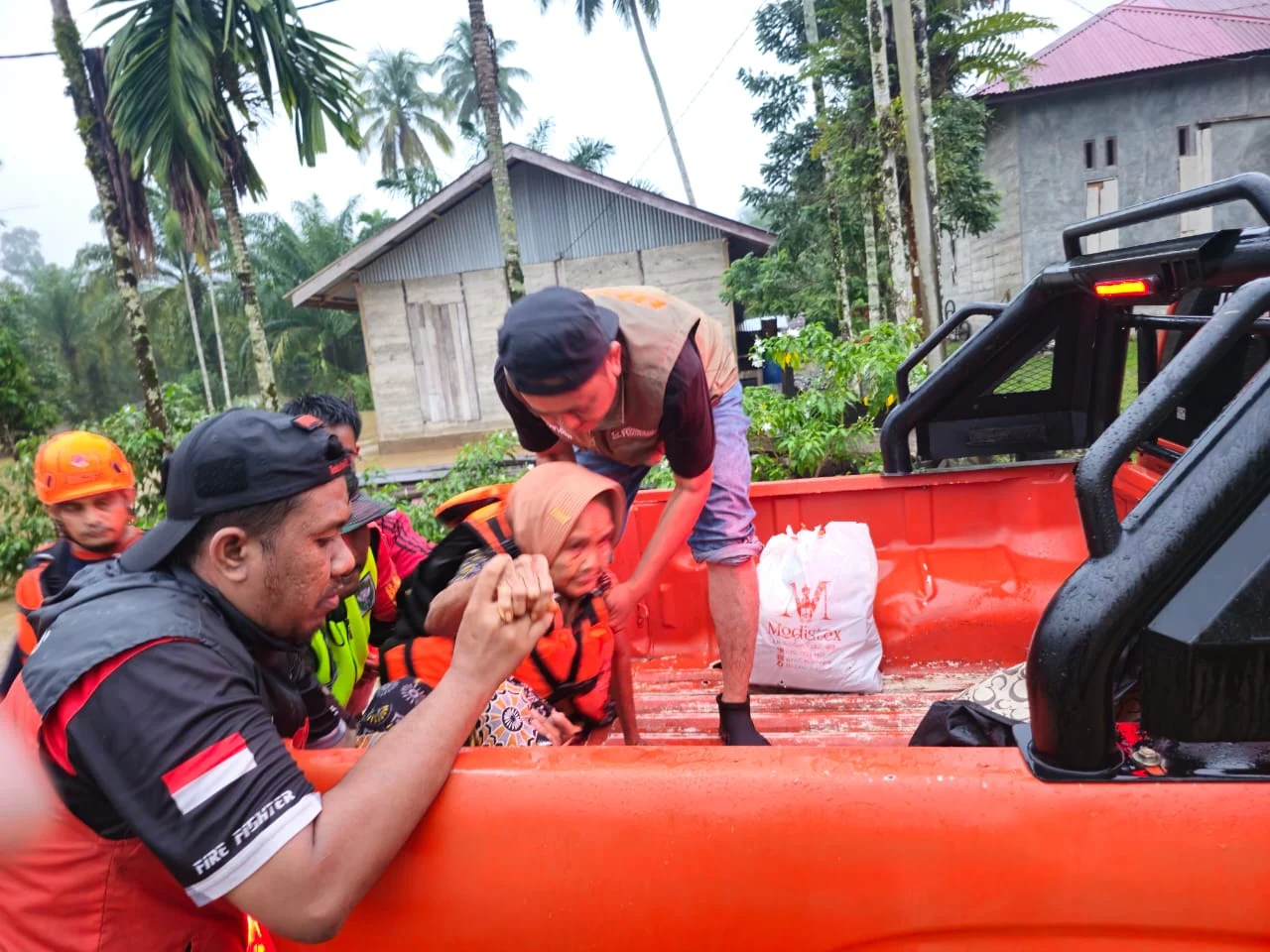 BPBD Aceh Barat Evakuasi Sarang Tawon di Meulaboh, Warga Resah
