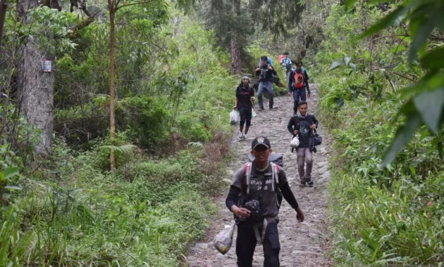 BPBD Magetan Catat Ratusan Pendaki Mulai Datangi Gunung Lawu