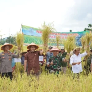 China Rencanakan Pusat Padi dan Sekolah Vokasi di Papua