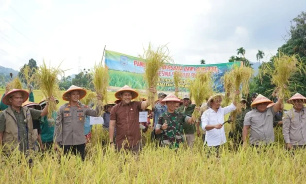 China Rencanakan Pusat Padi dan Sekolah Vokasi di Papua China Rencanakan Pusat Padi dan Sekolah Vokasi di Papua