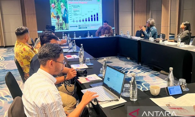 CIPS: Perbaikan Sawit Swadaya Hindari Kehilangan Rp70 Triliun PDB