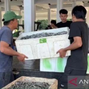 DKP Kaltim Luncurkan Tiga Strategi Hilirisasi Perikanan Demi Dongkrak Ekspor