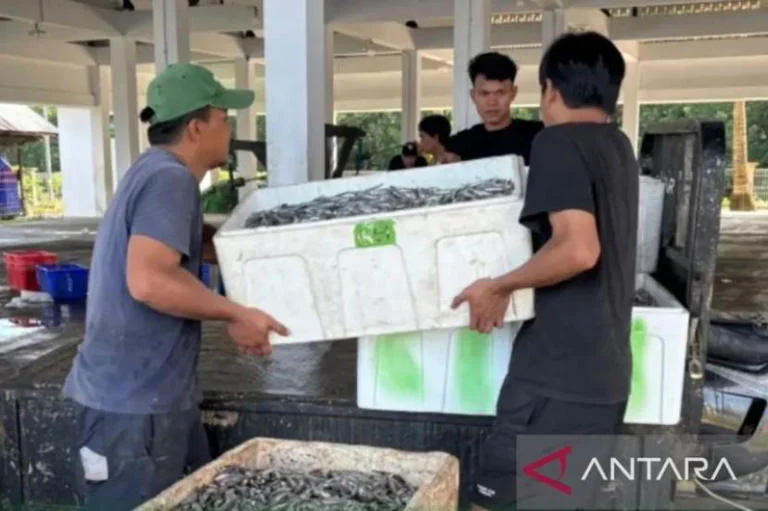 DKP Kaltim Luncurkan Tiga Strategi Hilirisasi Perikanan Demi Dongkrak Ekspor