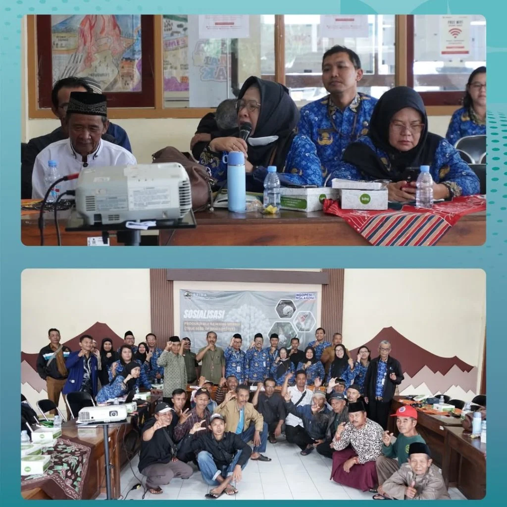 Dorong Kesejahteraan Petani, Inovasi Fungisida Syngenta Hadir di Jember