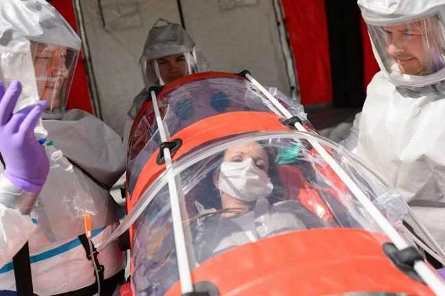 Dua Kasus Ebola Negatif di Brasil dan Eksperimen Bola Pink ICC: Apa Artinya Bagi Kesehatan Global dan Cricket?