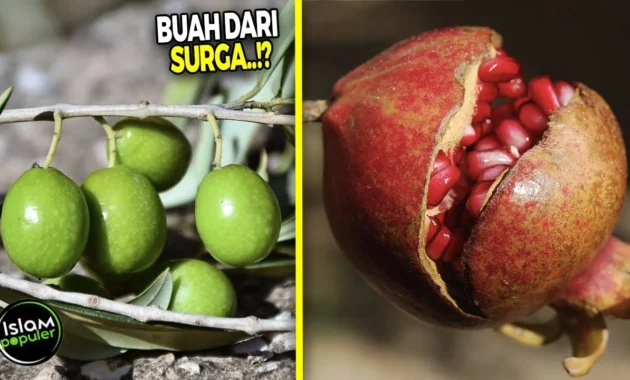 Dulu Batavia Surga Buah, Kini Kebun‑kebunnya Sudah Musnah