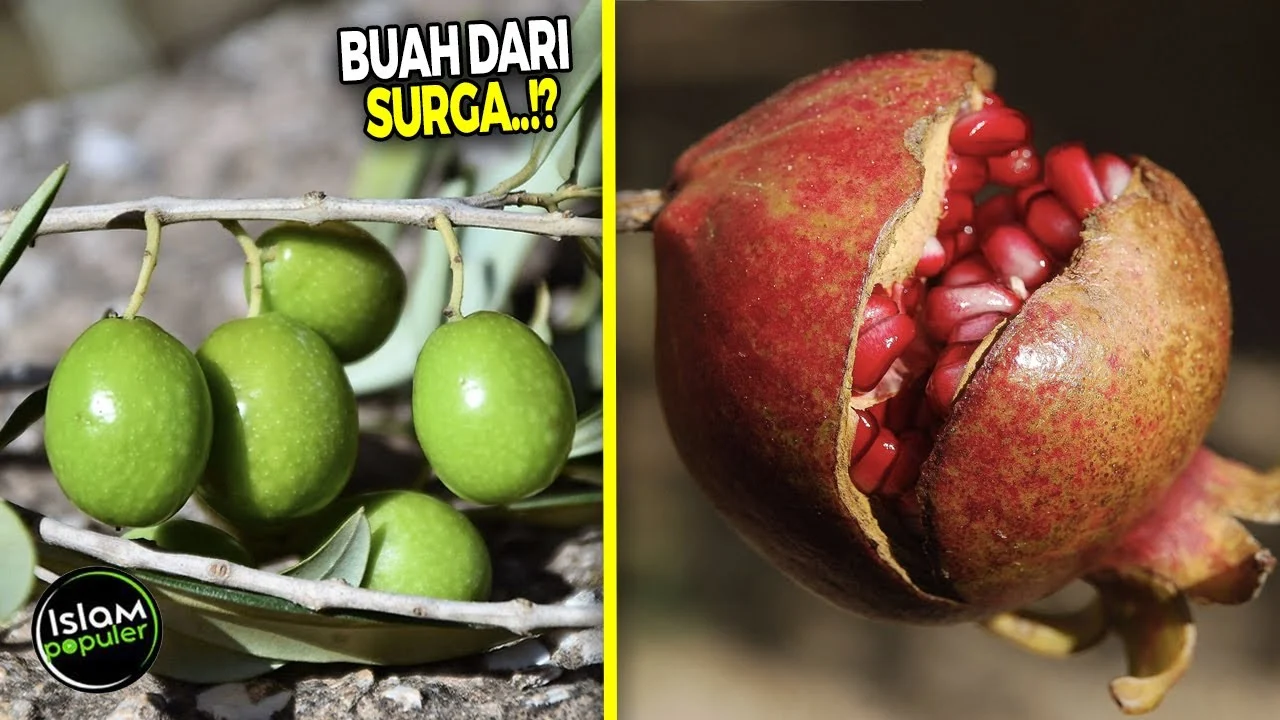 Dulu Batavia Surga Buah, Kini Kebun‑kebunnya Sudah Musnah