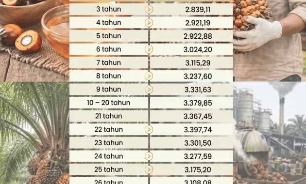 GAPKI Akui Harga TBS Sawit Berangsur Naik