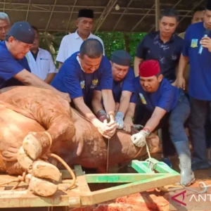 Garda Mawar: Prabowo Subianto Rutin Berkurban dengan Dana Pribadi
