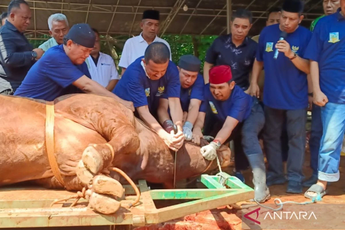 Garda Mawar: Prabowo Subianto Rutin Berkurban dengan Dana Pribadi