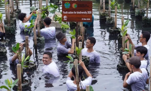 GIZ dan Pemerintah Perkuat Literasi Lingkungan pada Generasi Muda GIZ dan Pemerintah Perkuat Literasi Lingkungan pada Generasi Muda