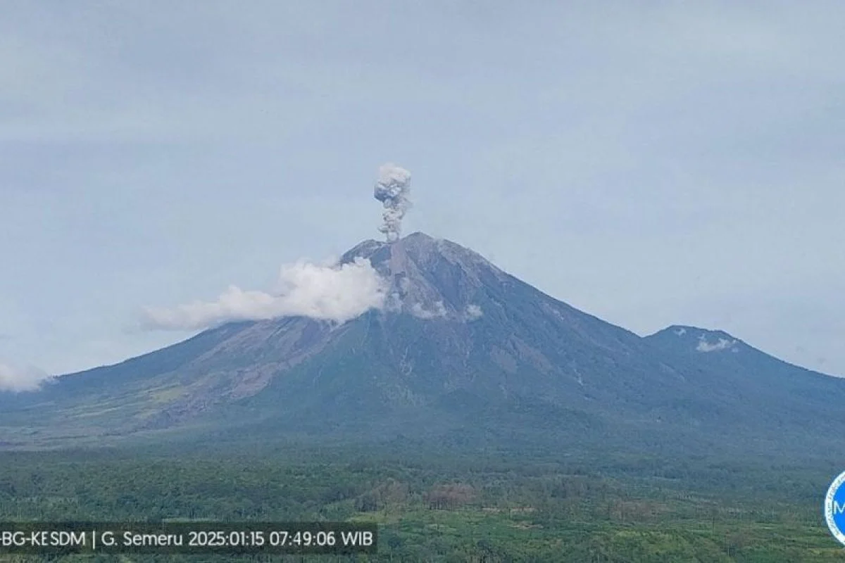 Gunung Semeru Erupsi dengan Letusan Setinggi 900 Meter
