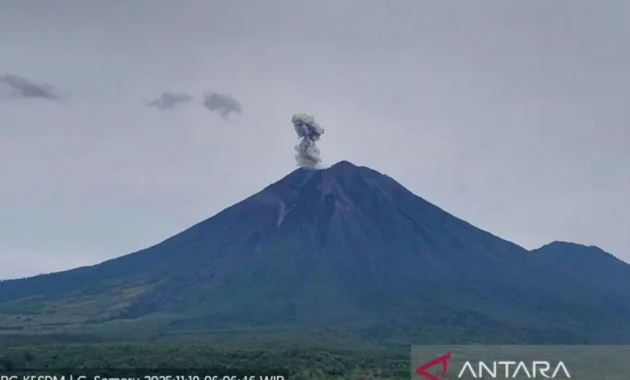 Gunung Semeru Erupsi Tinggi 600 Meter, Dampak dan Tindakan Evakuasi