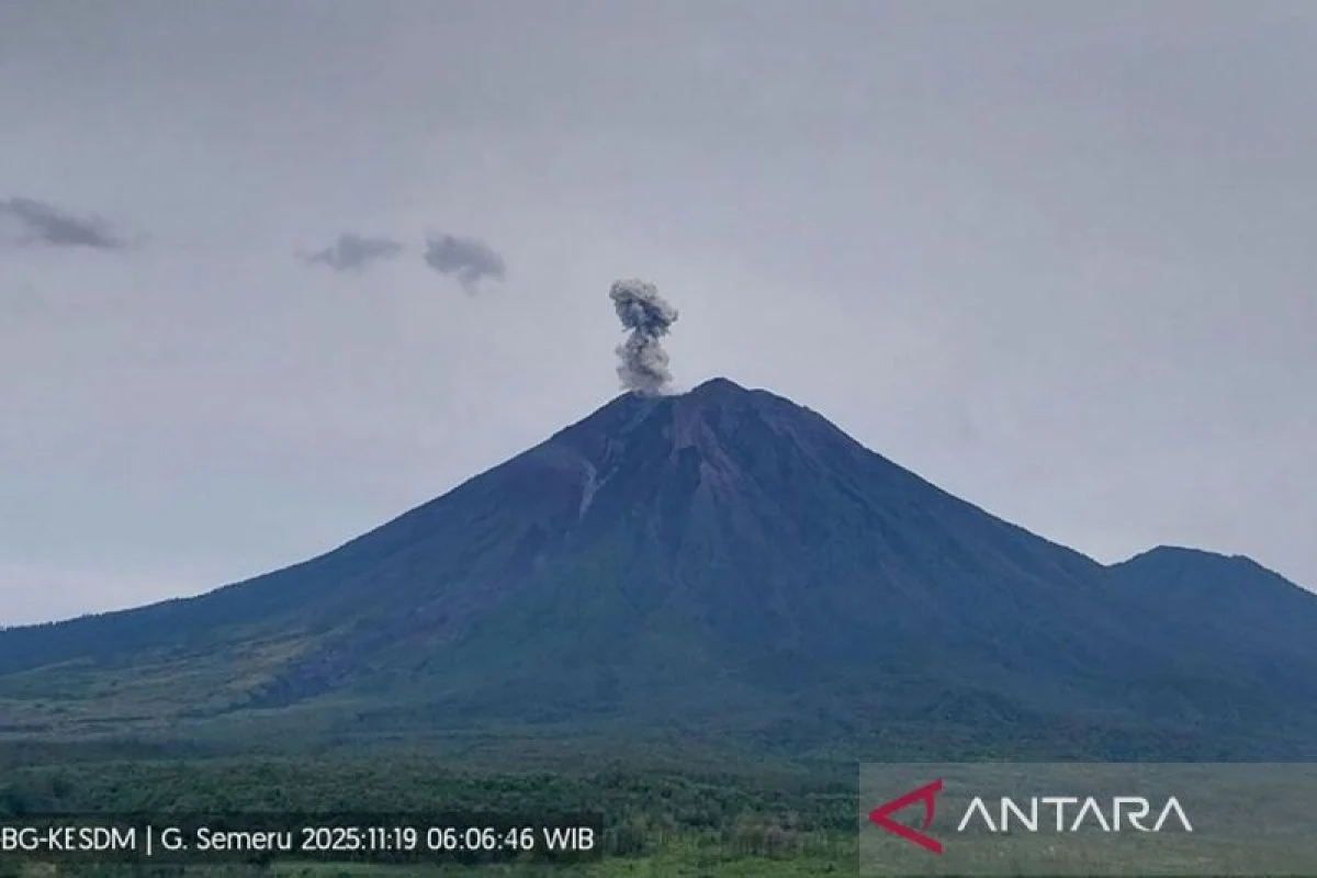 Gunung Semeru Erupsi Tinggi 600 Meter, Dampak dan Tindakan Evakuasi