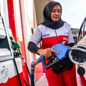 Harga Pertamax Naik, Pemerintah Diminta Pastikan Subsidi BBM Tepat Sasaran