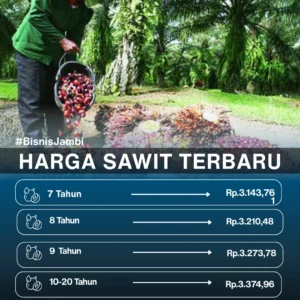 Heran Harga TBS Sawit Bisa Turun di Tengah Menguatnya Dolar terhadap Rupiah, Mentan: Ini Anomali!