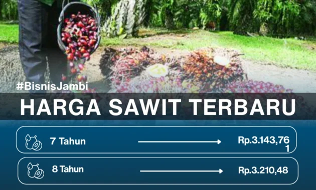 Heran Harga TBS Sawit Bisa Turun di Tengah Menguatnya Dolar terhadap Rupiah, Mentan: Ini Anomali!