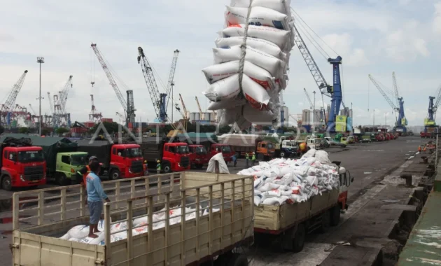 Importir Sengaja Biarkan Barang Numpuk di Pelabuhan, Purbaya Kaji Denda Lebih Besar Importir Sengaja Biarkan Barang Numpuk di Pelabuhan, Purbaya Kaji Denda Lebih Besar