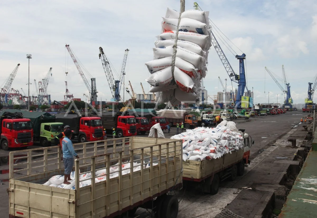 Importir Sengaja Biarkan Barang Numpuk di Pelabuhan, Purbaya Kaji Denda Lebih Besar