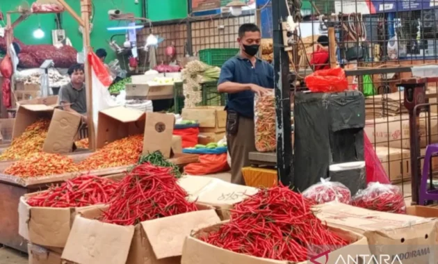Inflasi Sumsel Naik 0,61% pada Mei, Dipicu Kenaikan Harga Cabai dan Bawang Inflasi Sumsel Naik 0,61% pada Mei, Dipicu Kenaikan Harga Cabai dan Bawang