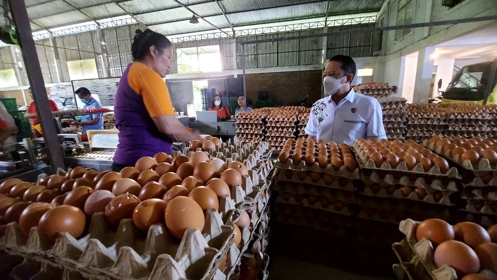 Jaga Harga Tetap Stabil, Pemerintah Wajibkan SPPG Serap Telur dari Peternak